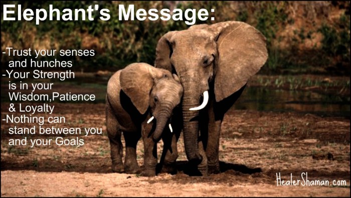 elephant-message